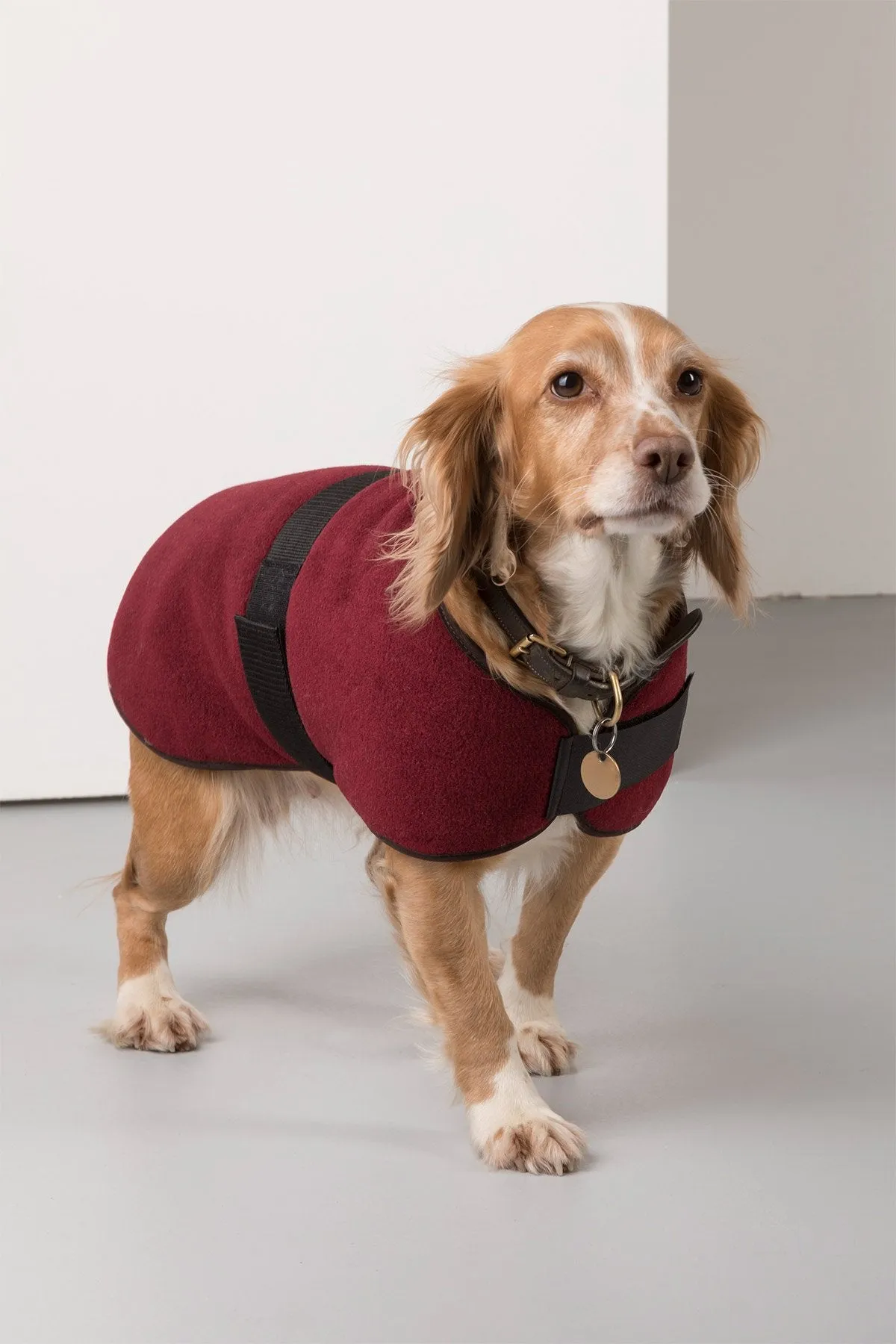 Fleece Dog Coat