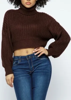 Hera Collection Turtleneck Crop Top Sweater (Chocolate) 22283